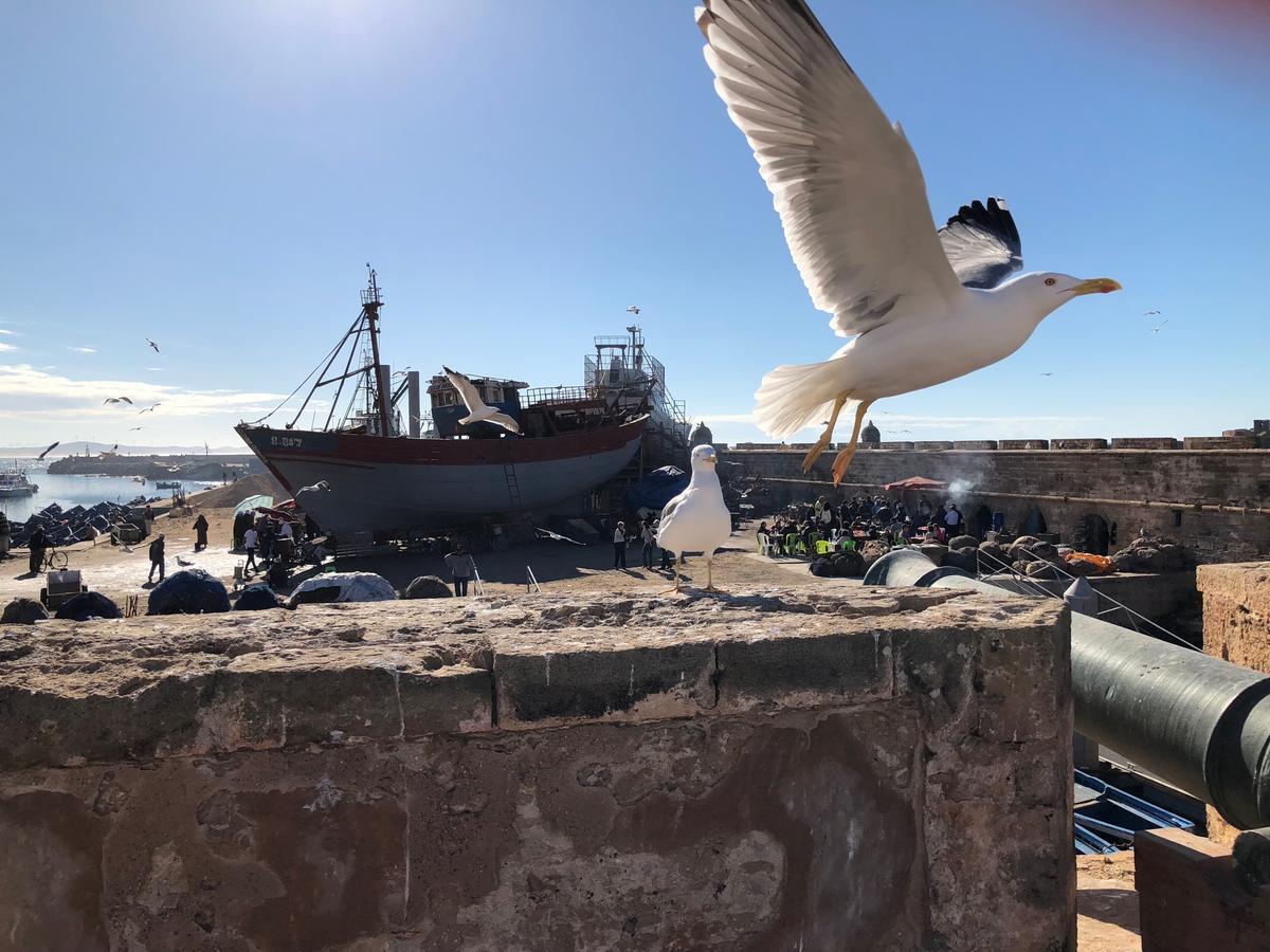Riad De La Mer Essaouira Exteriör bild